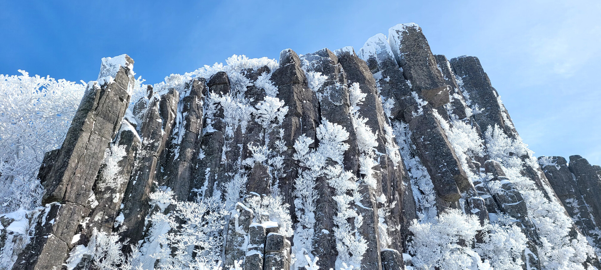 ❄️❄️ 겨울이야 ❄️❄️