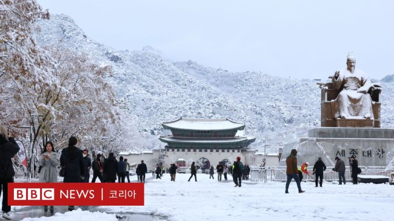 폭설: 하얗게 물든 서울...117년만에 11월 적설 최고치