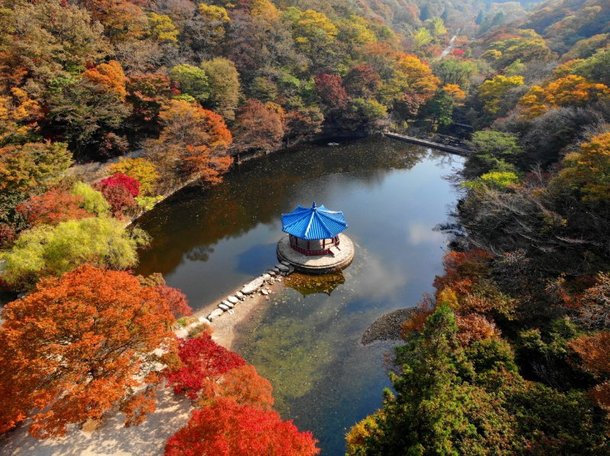 전북 정읍 내장산 우화정' 풍경.