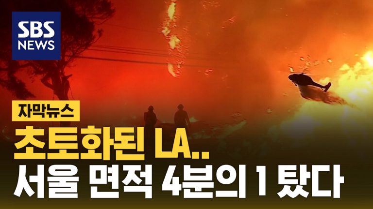 [자막뉴스] LA 산불로 '서울 면적 4분의 1' 불에 타…최소 10명 숨지고 수십 만 명 대피