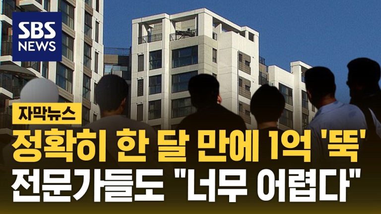 [자막뉴스] 서울 아파트 한 달 만에 1억 '뚝'…전문가들도 "너무 어렵다"